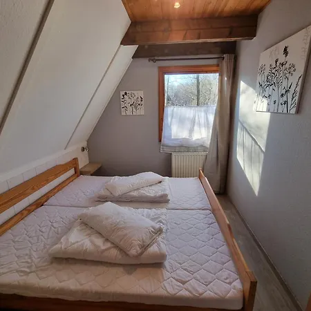 Holiday home Schoenes Am Twistesee