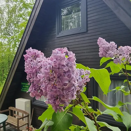 Casa vacanze Marie 125