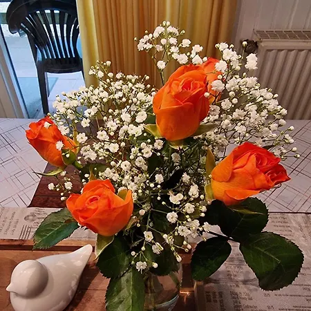Marie 125 Ferienhaus Bad Arolsen